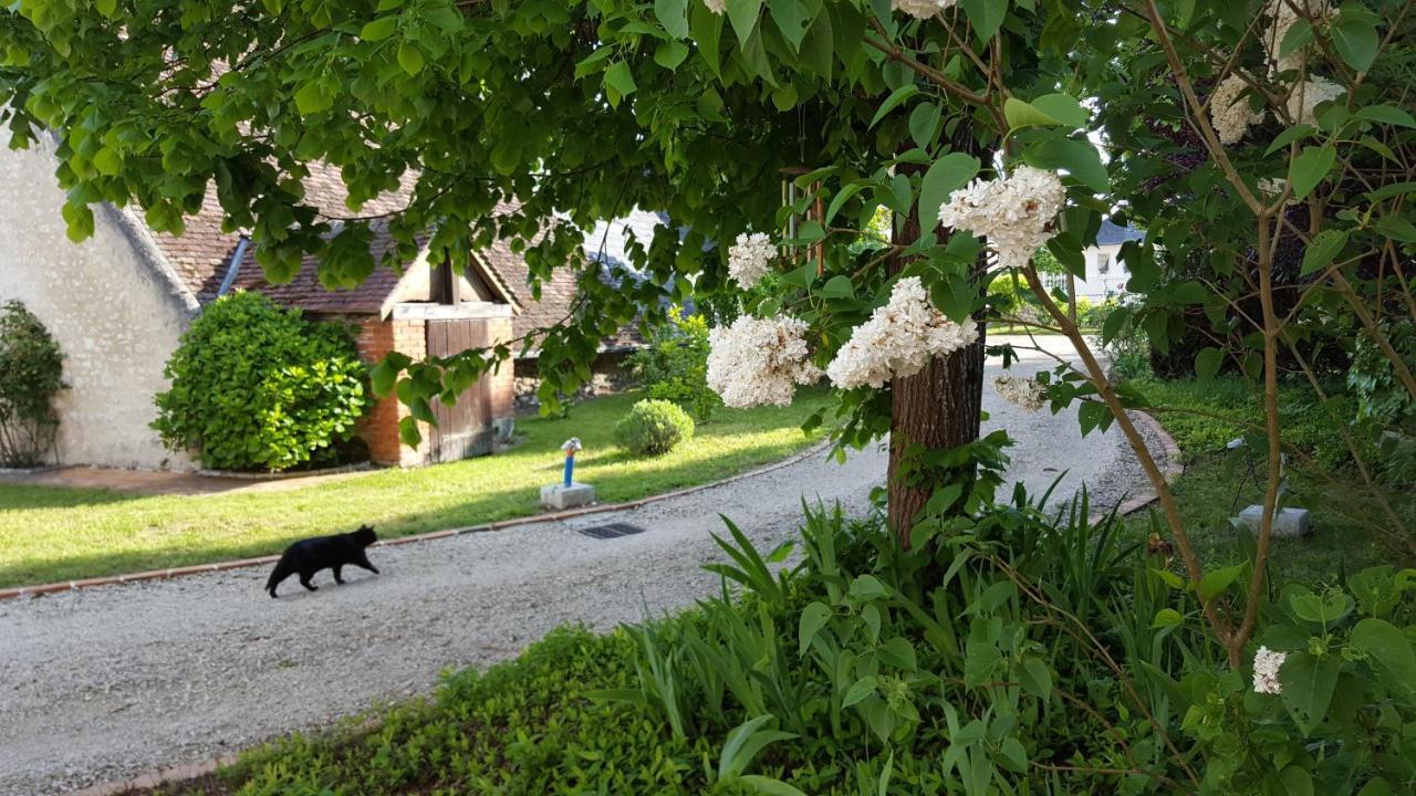 Closerie Des Laudieres Bed & Breakfast Vineuil  Exterior photo